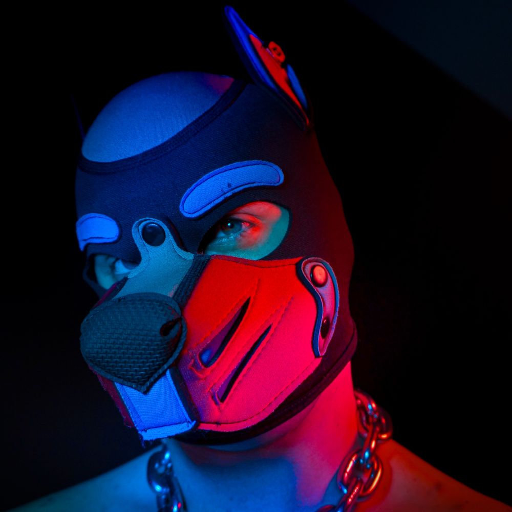 Midopuppy