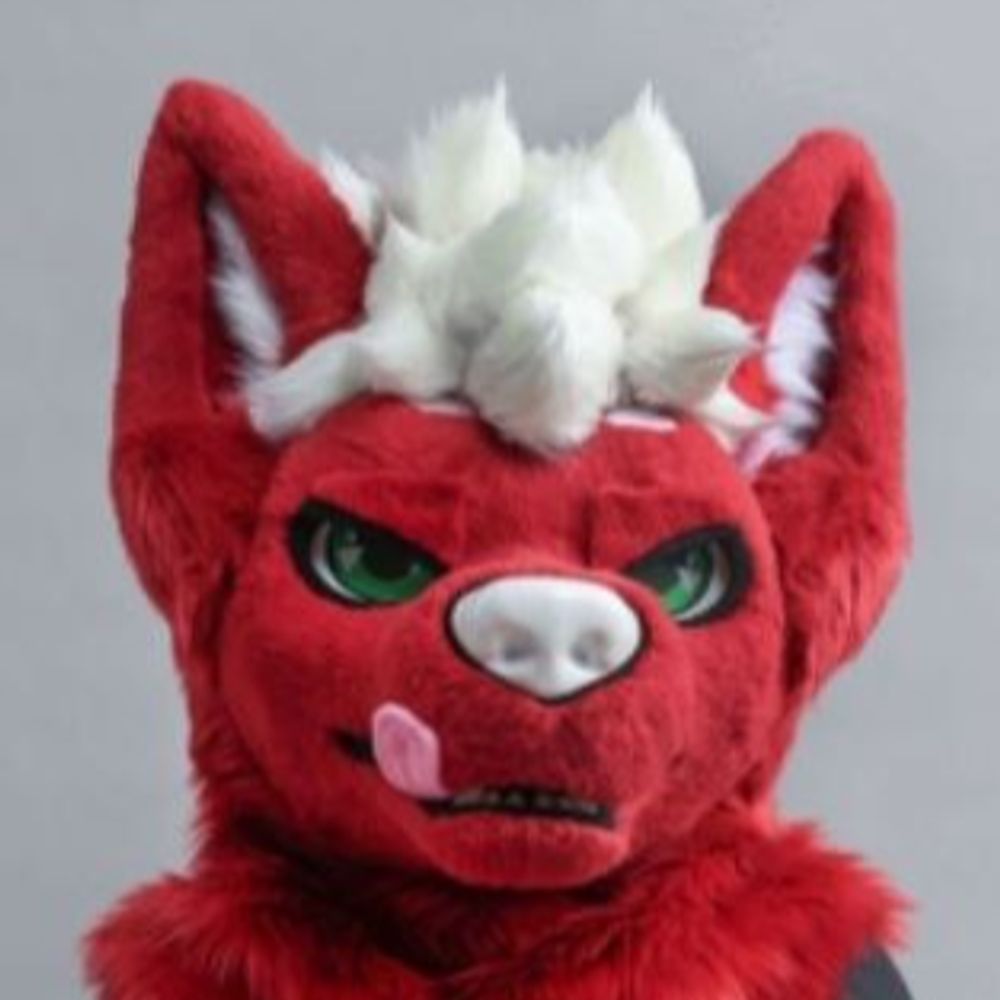 Dander whitepaw