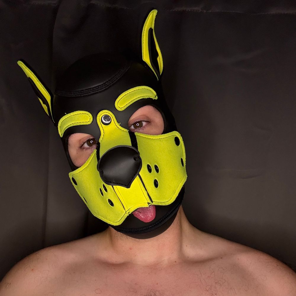 Pup Scrappy