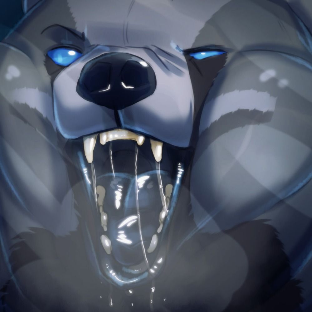 smokey bear   🐻 's avatar