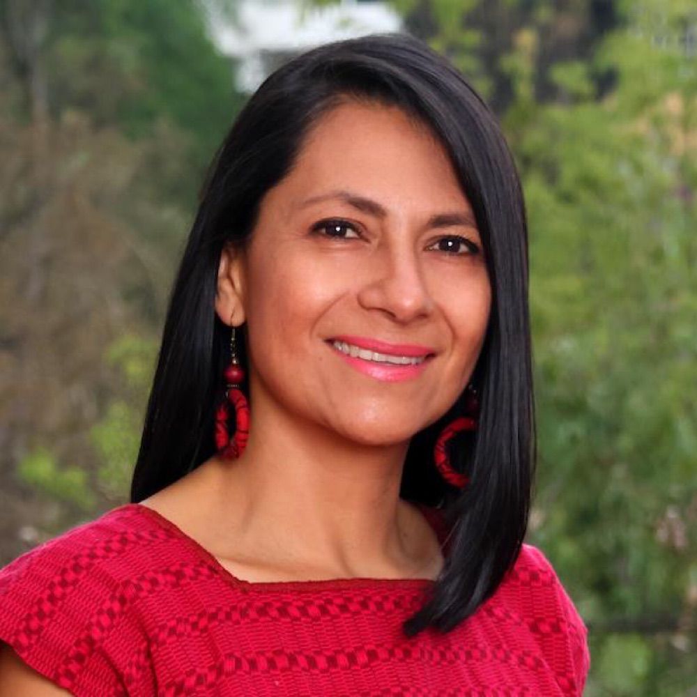 Astrid Puentes Riaño - UN SR healthy environment