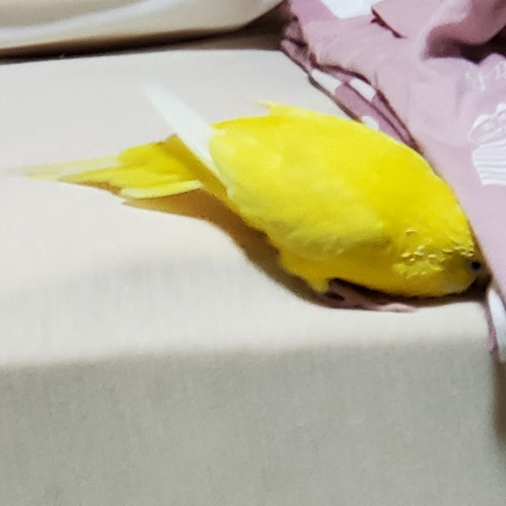 ki