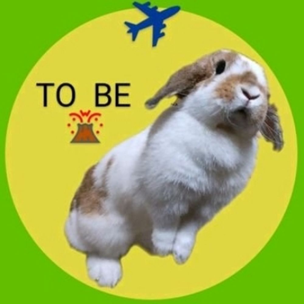 おおたき🌋✈️(🧩)