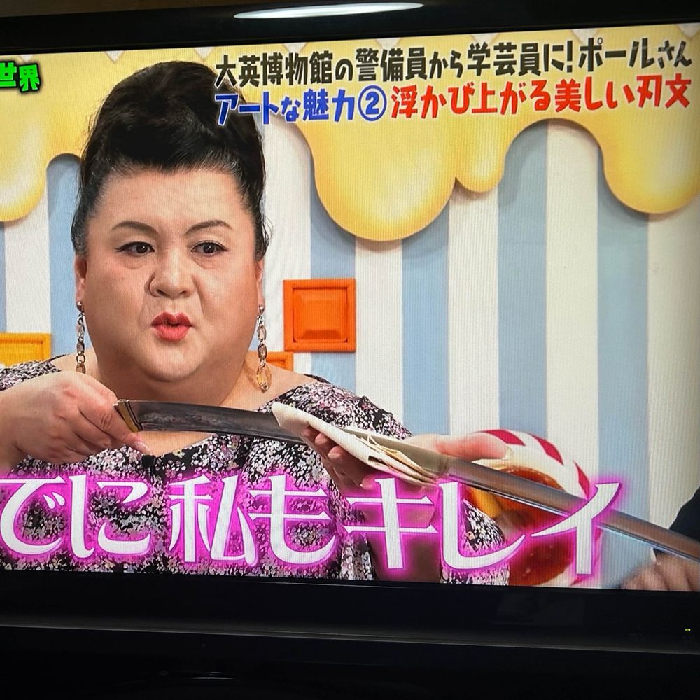 アヤコガイ