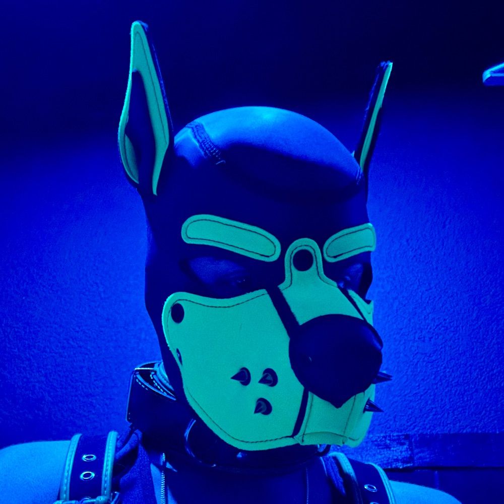 Pup Fathom 🏳️‍⚧️