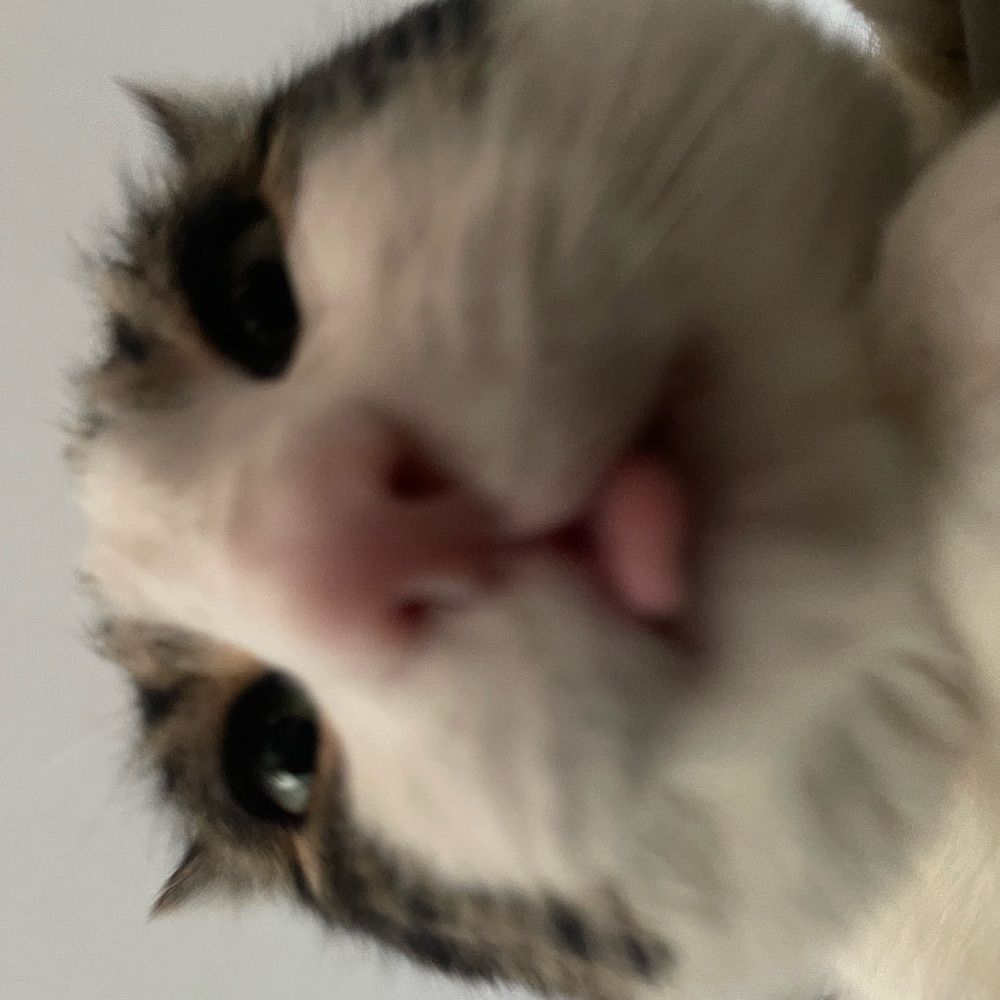 stinky