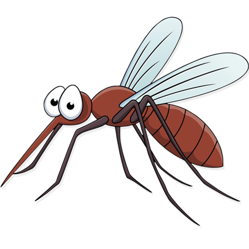 Mosquito Monitor