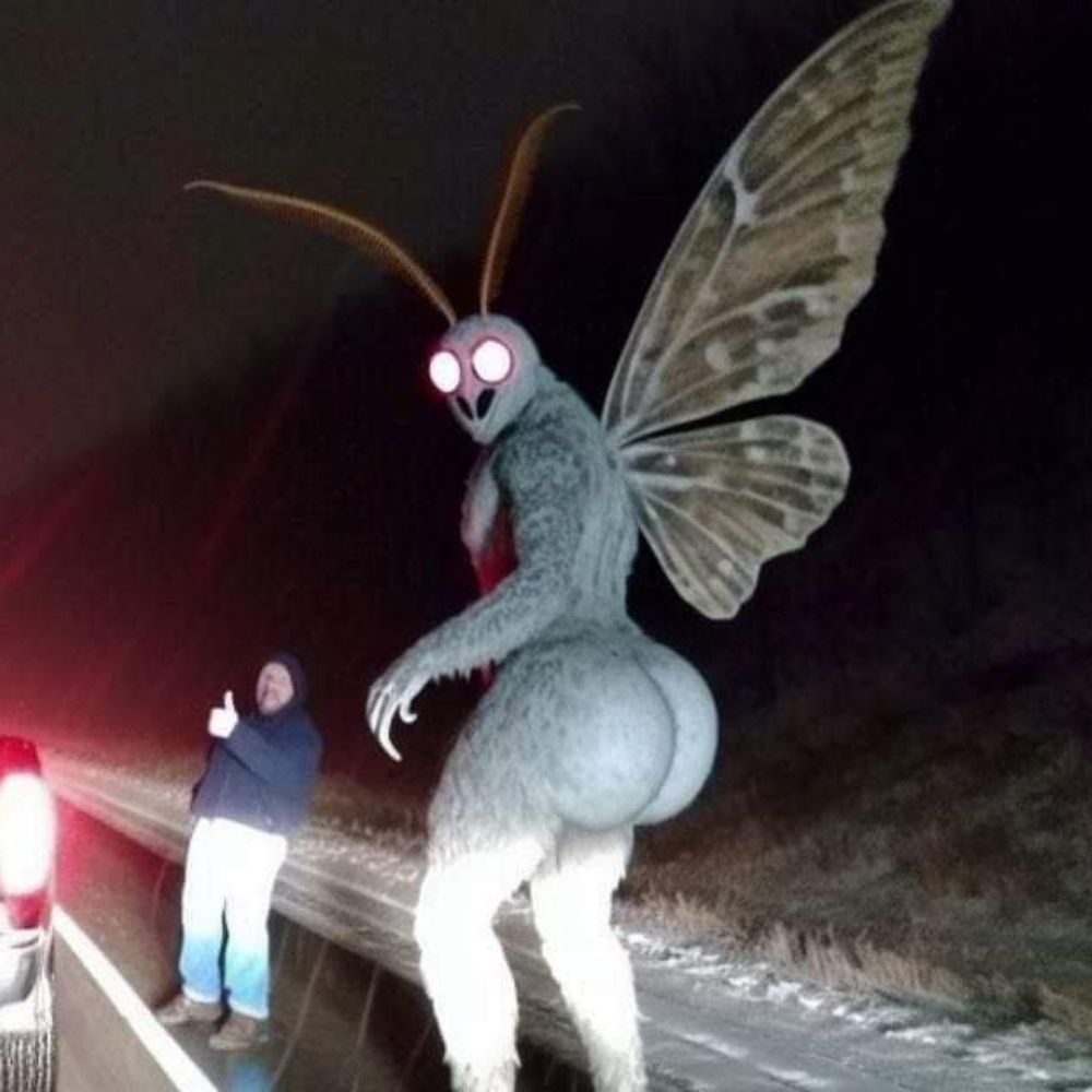 thicc mothman