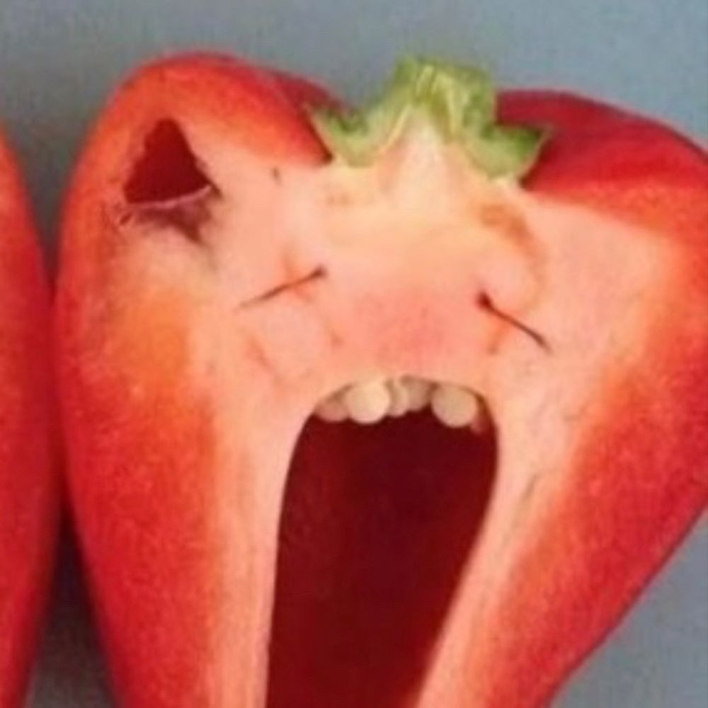 파프리카