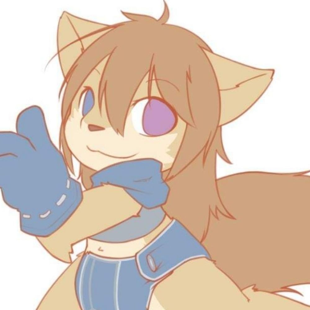 奶茶犬Raywa