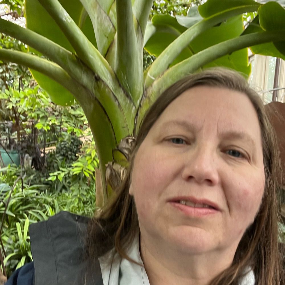 JoAnne Sapelli