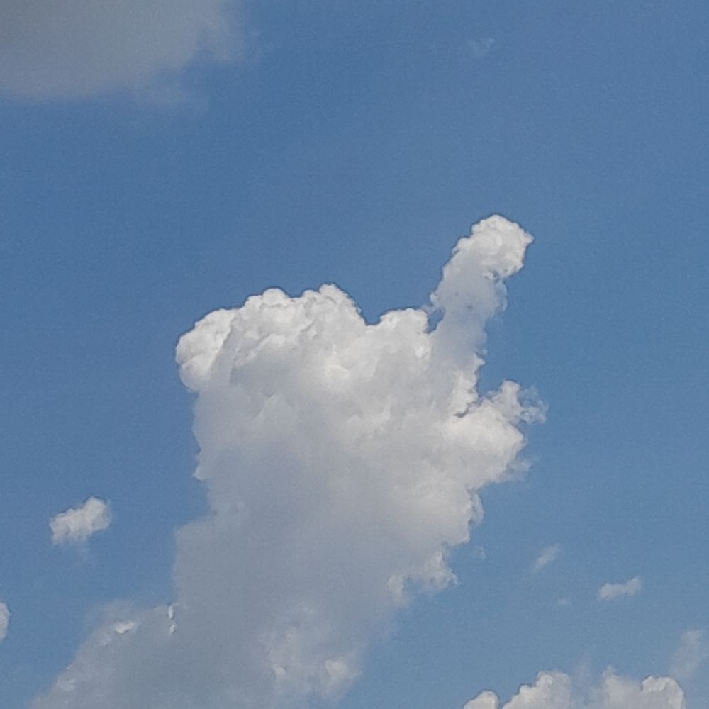 g.