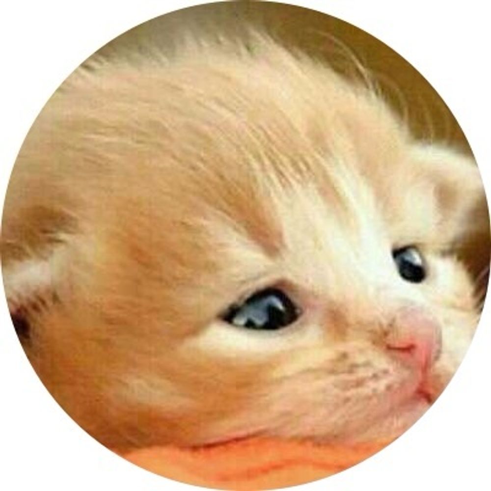 𖤣𖥧𖥣 chiechie 𖤘⋆𖥧𖤣 