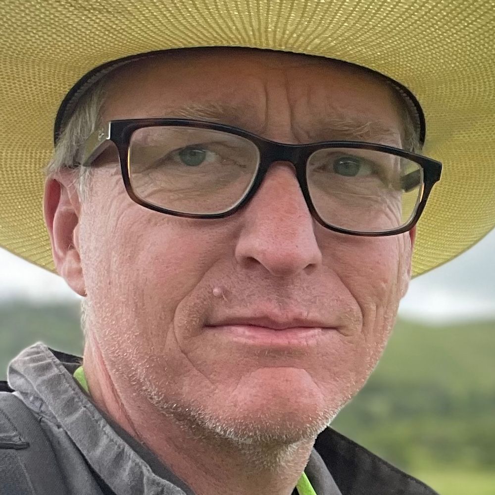 Todd Helmus