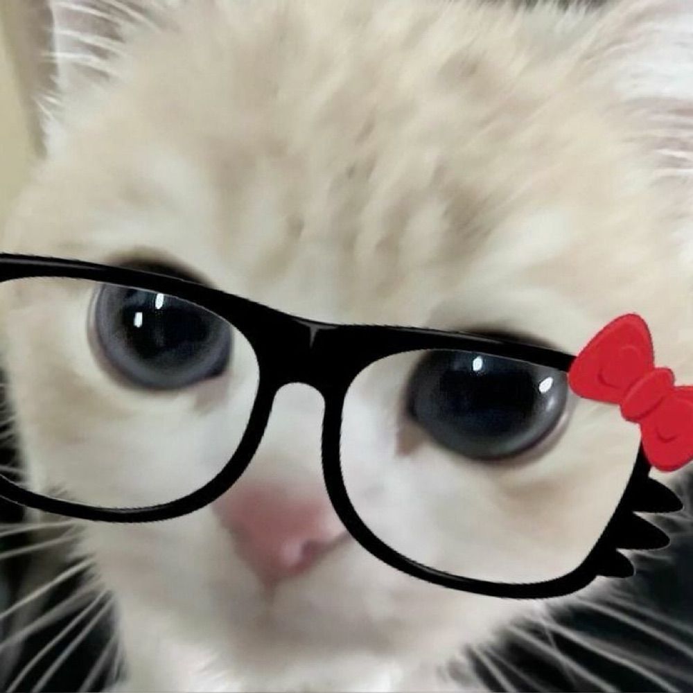 Elle !!!