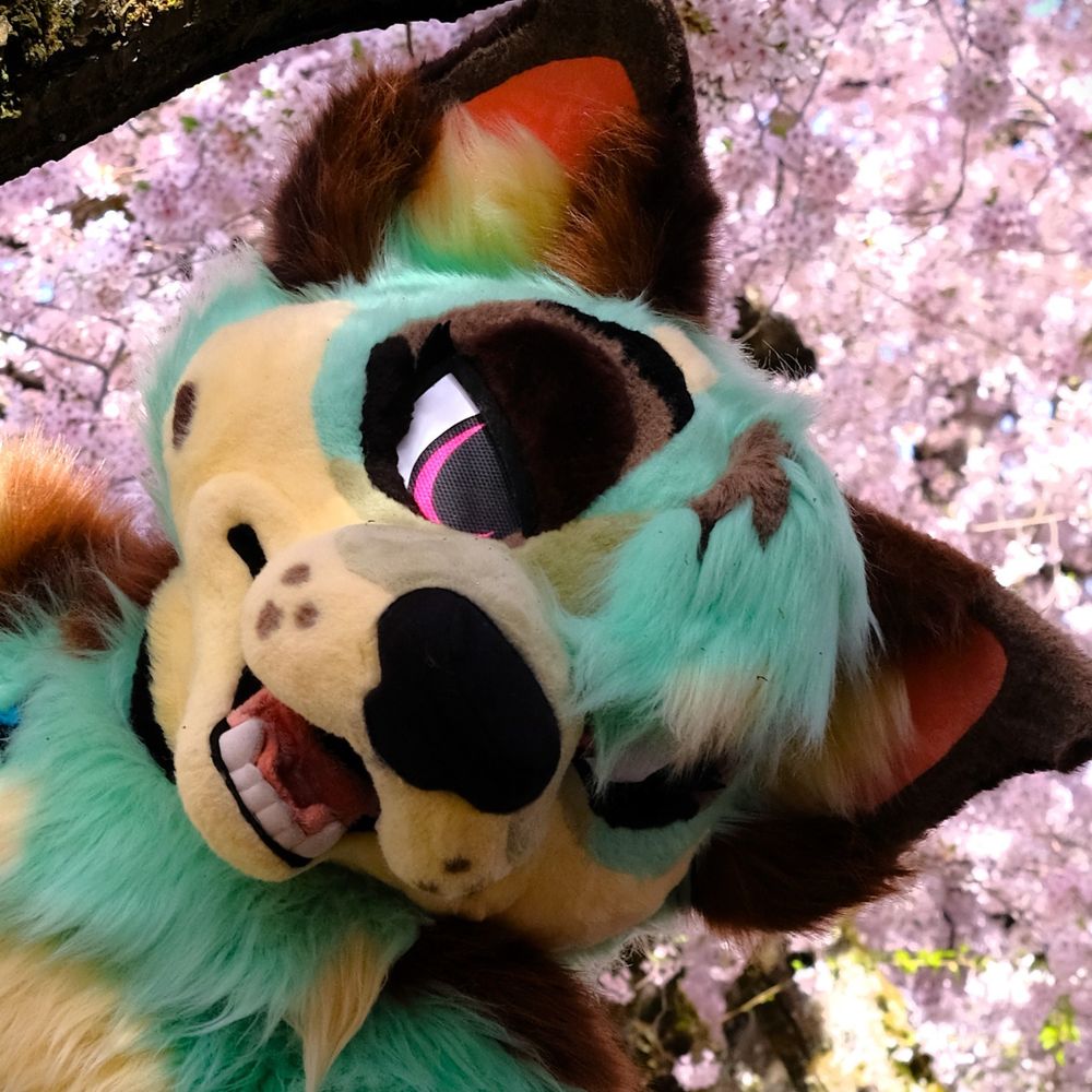mint mutt :3