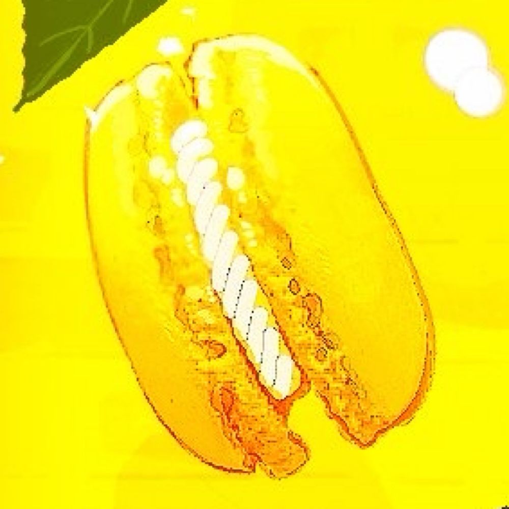 十三十