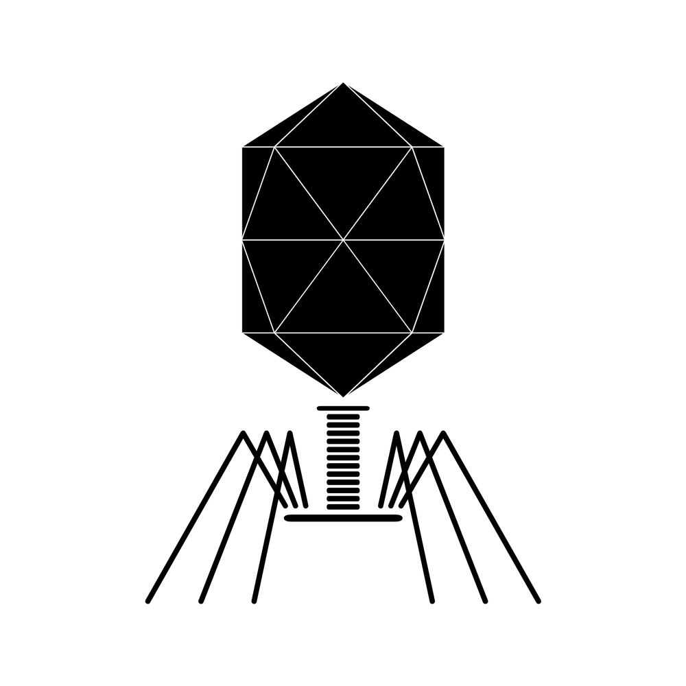 The Phage