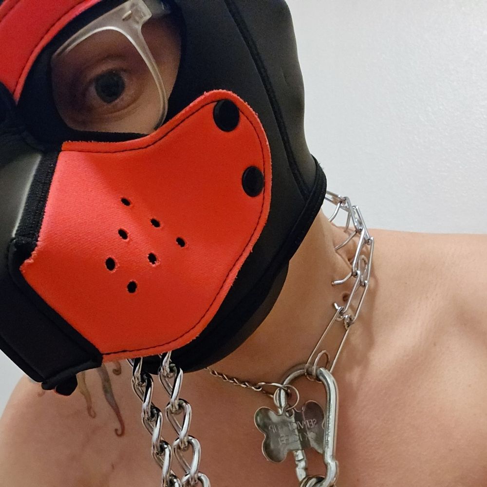 Bandit