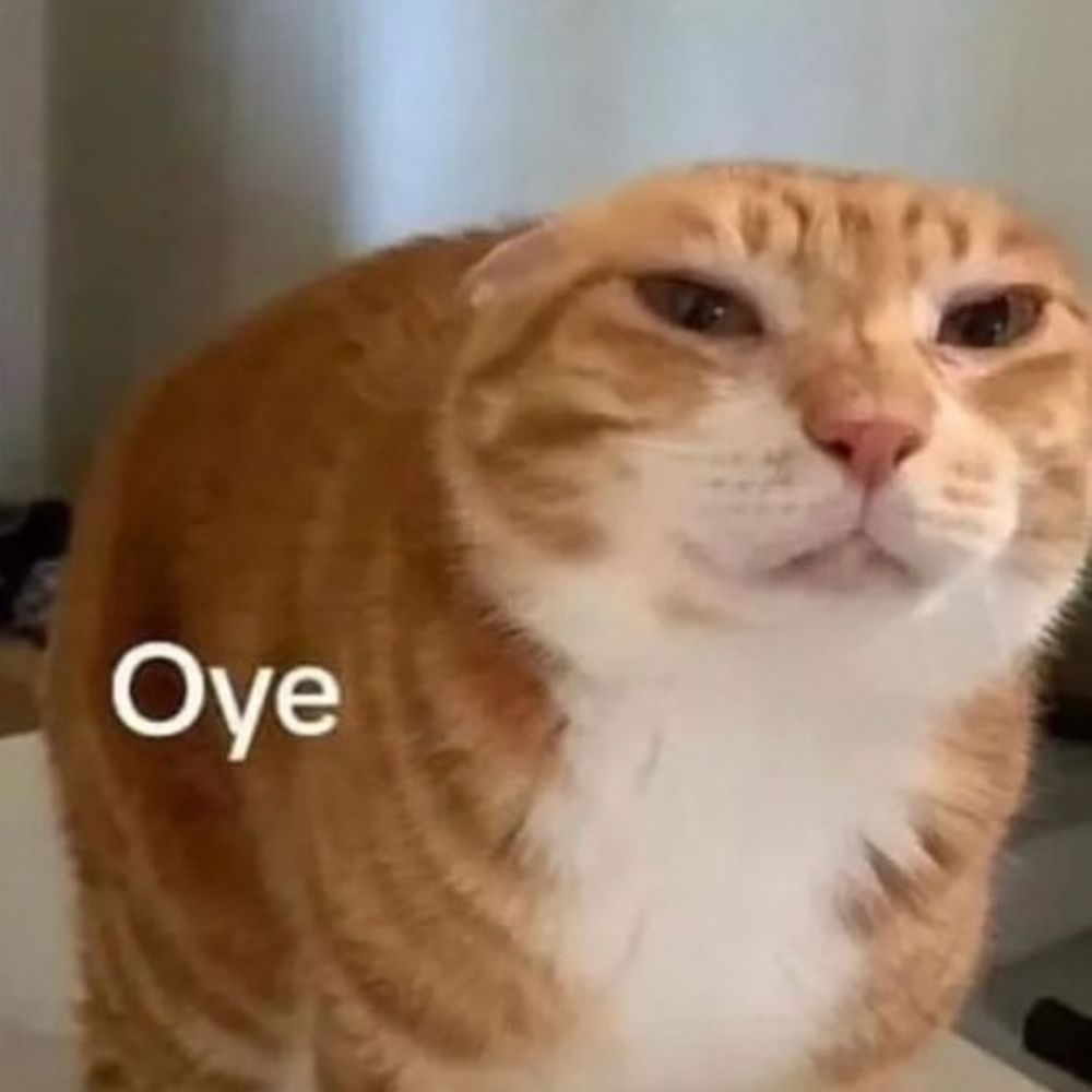C9