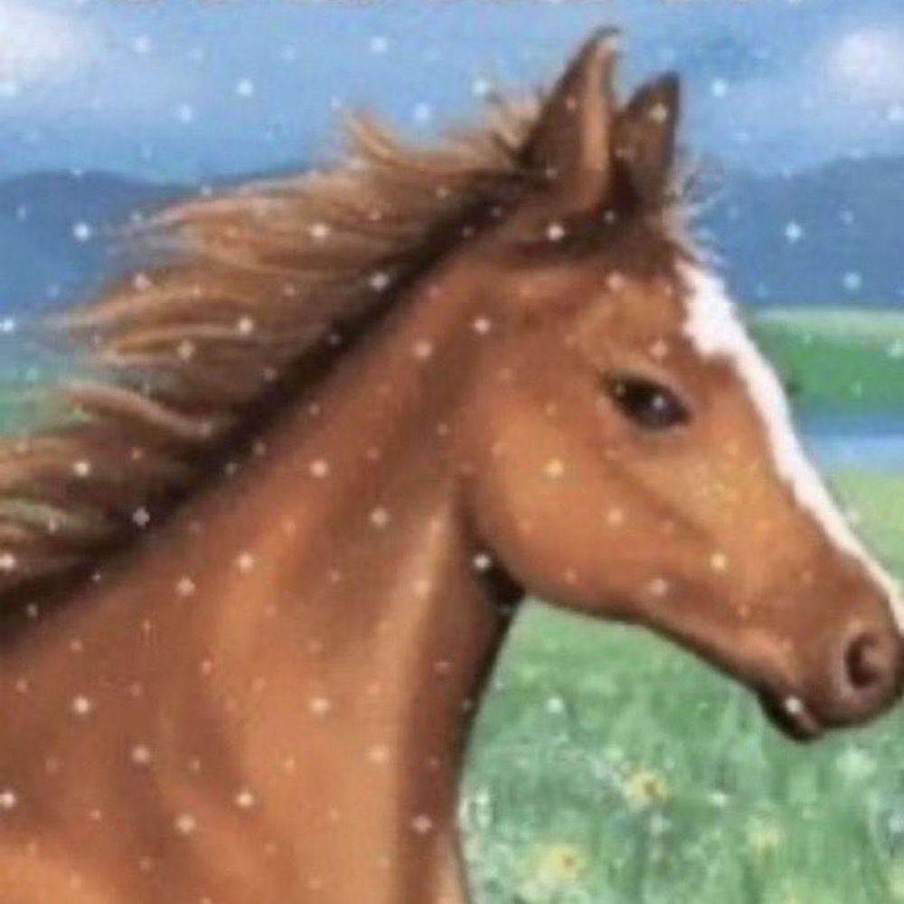 sad pony guerrilla gay