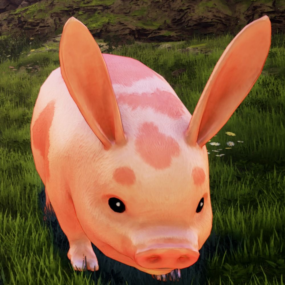 🐖SN0W🐖