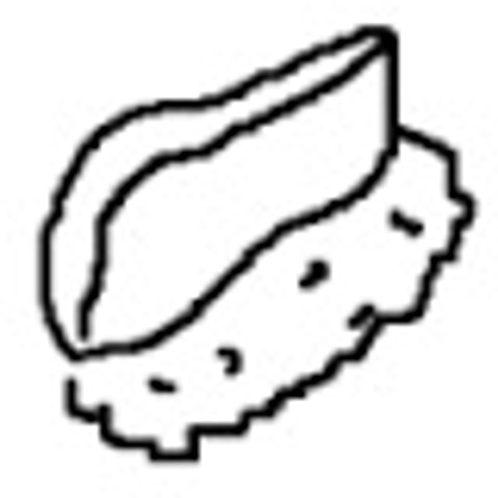 なまこんぶ。