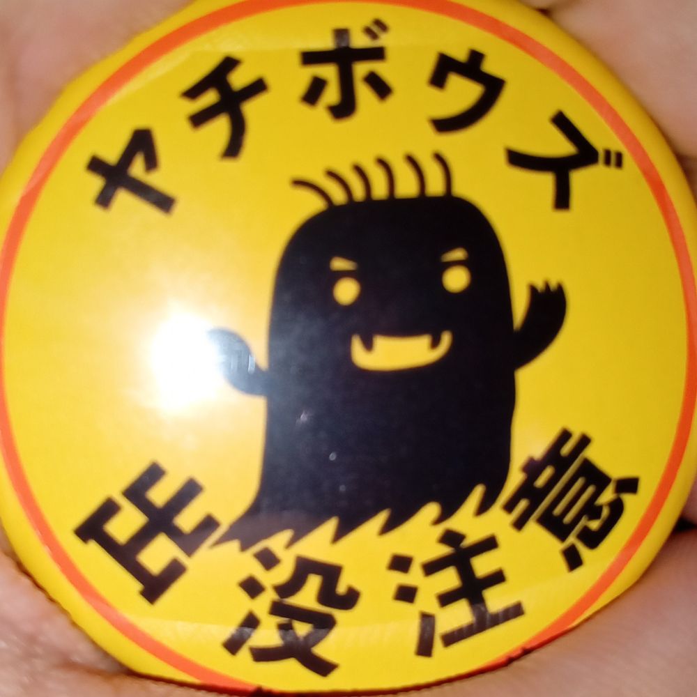 やちぼうず