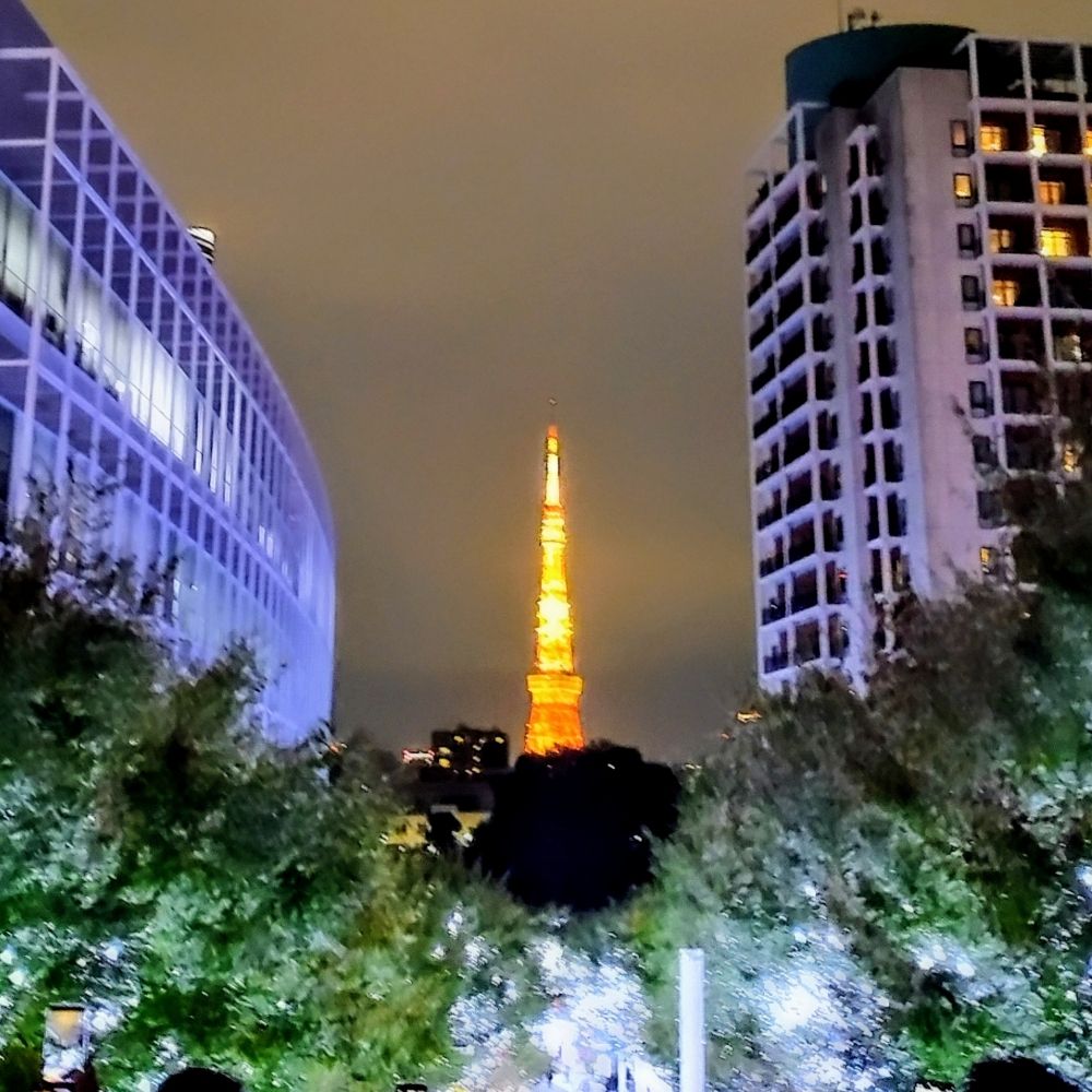TokyoSirokuromimi