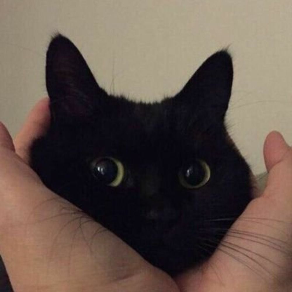 SODI