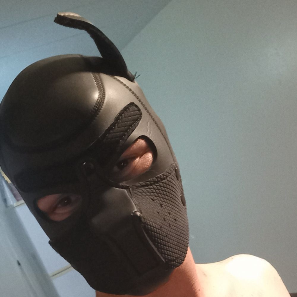Pup Midnight