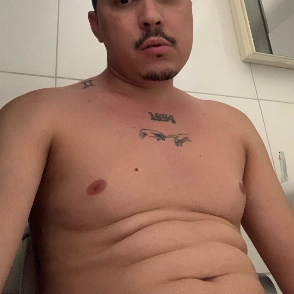 Companheiro caçador 🐻