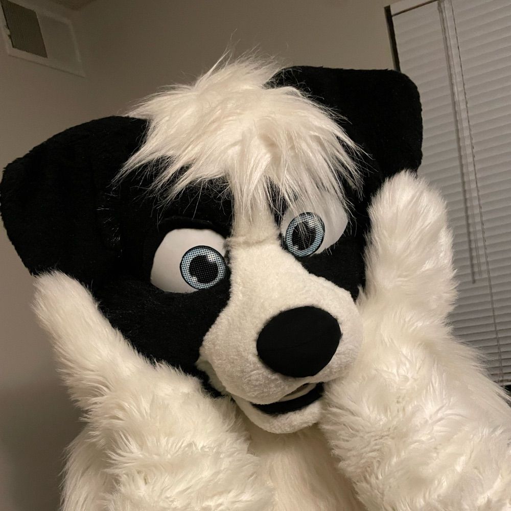 Madison Collie🏳️‍⚧️🇮🇱