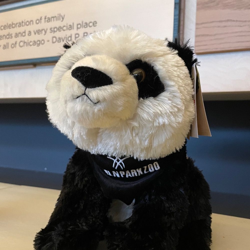 PowerPanda 🐼😜