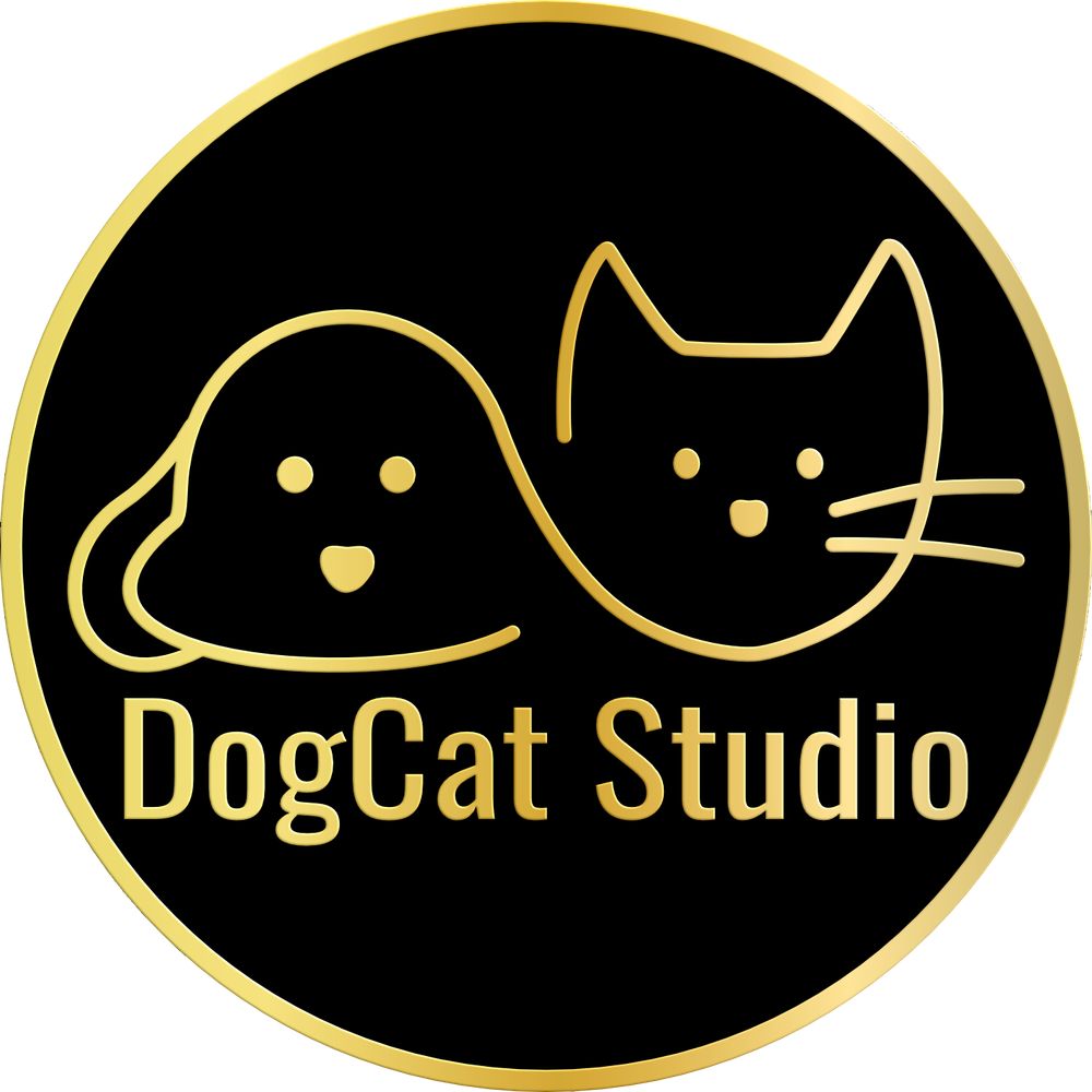 DogCat Studio (Game Development)