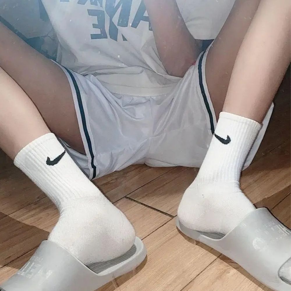 可以查你的学历吗