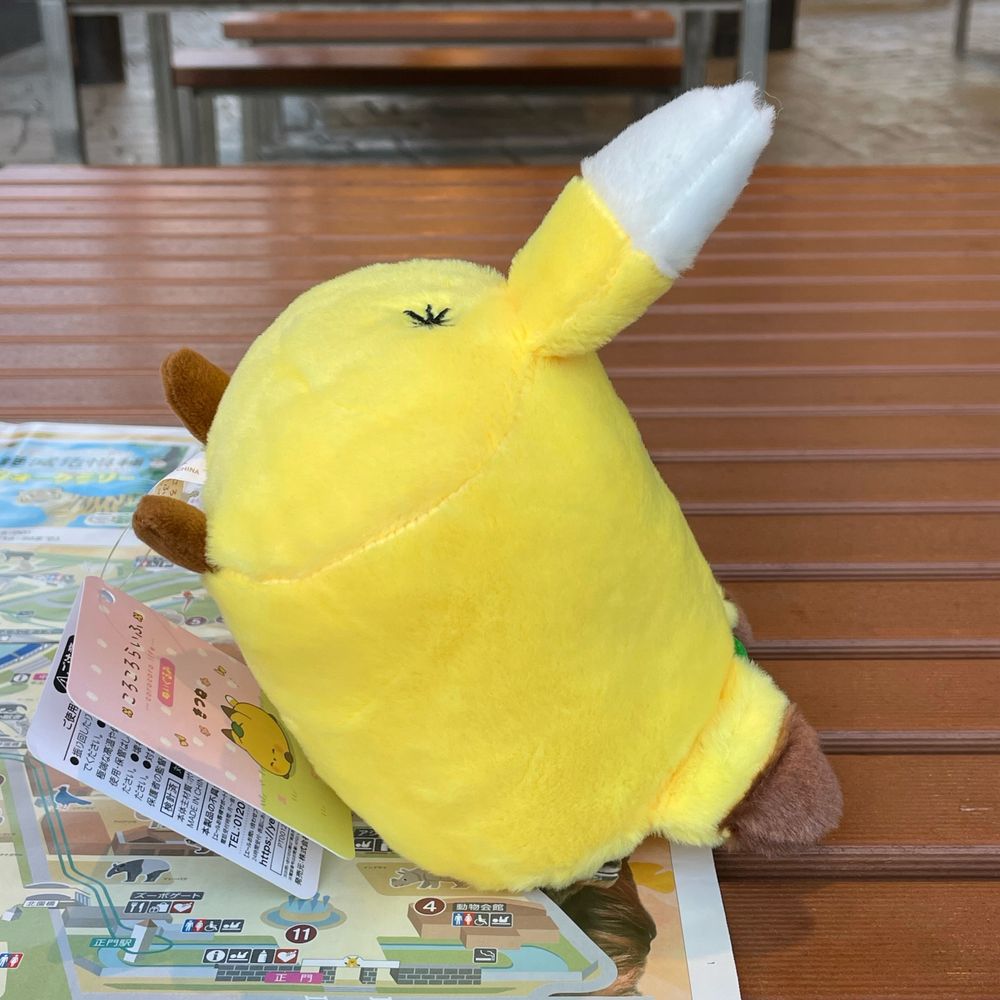滝沢