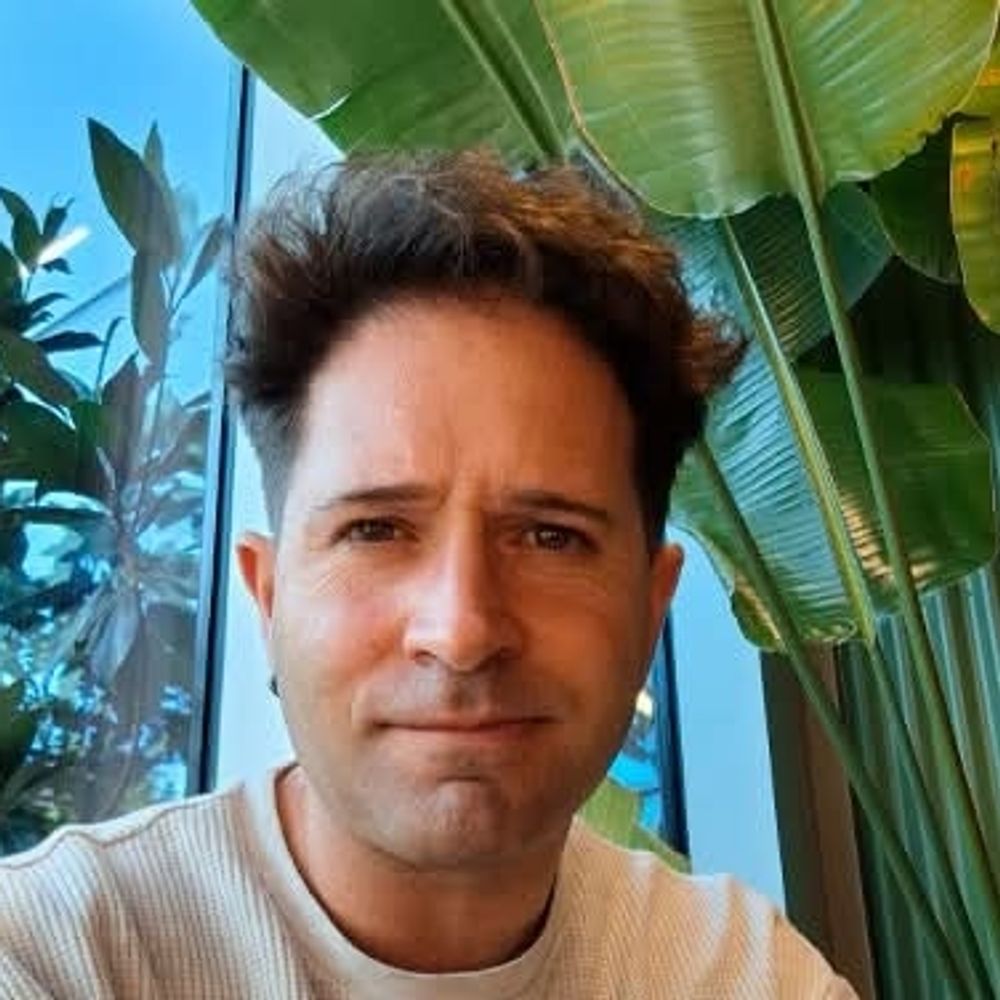 lisandro weimarques