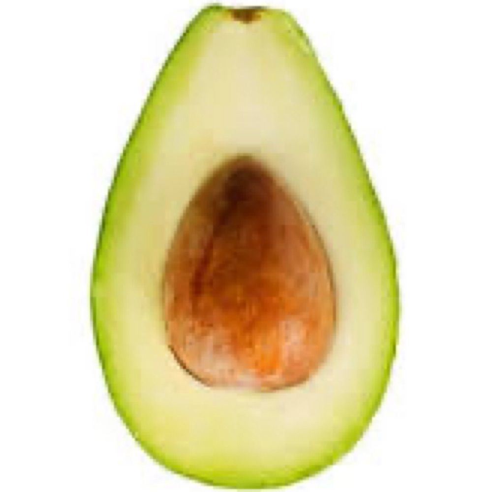 Avocado Media