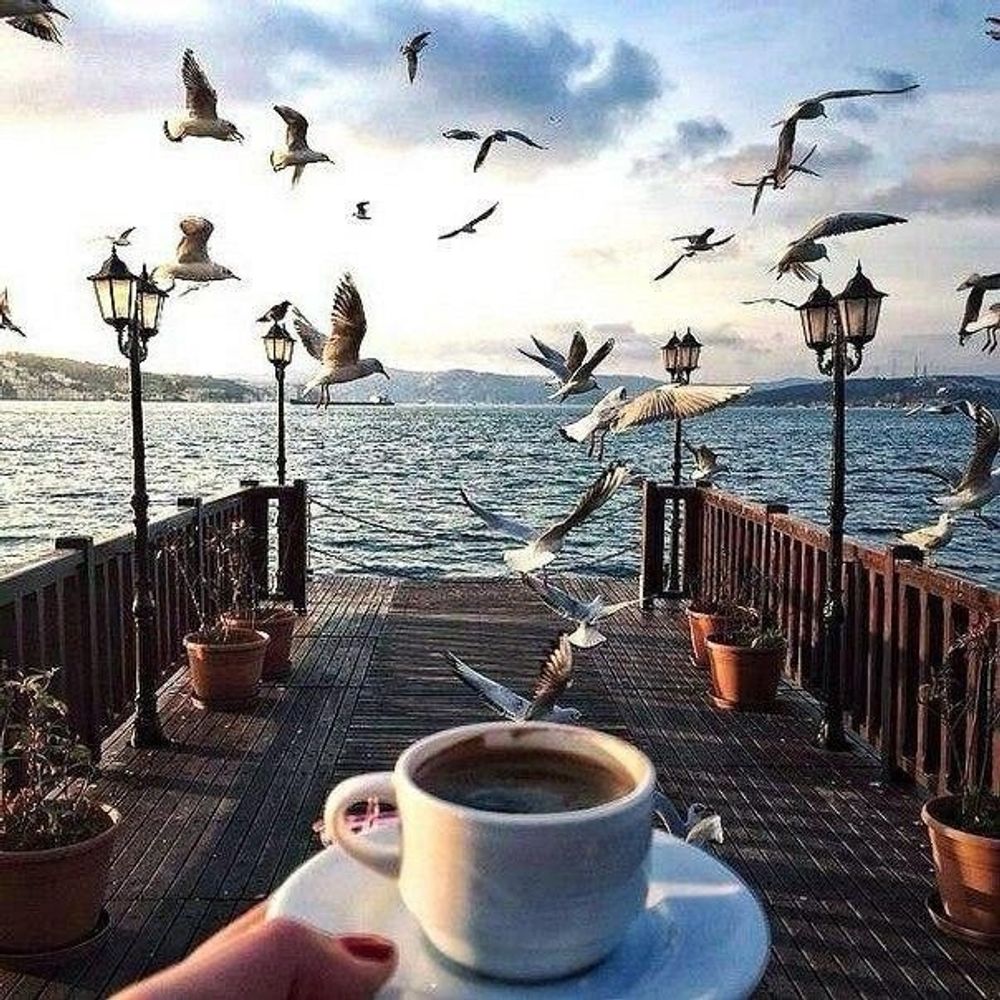 Café BlueSky