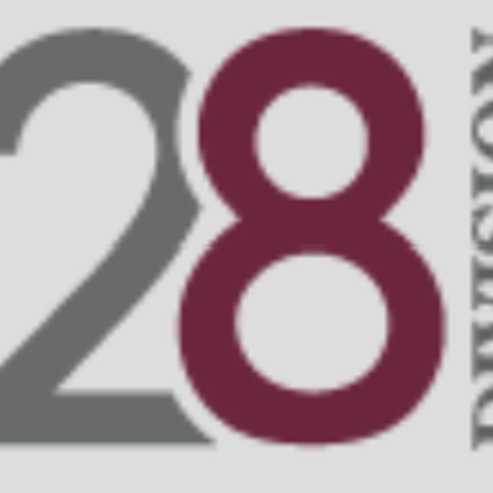 APA Division 28