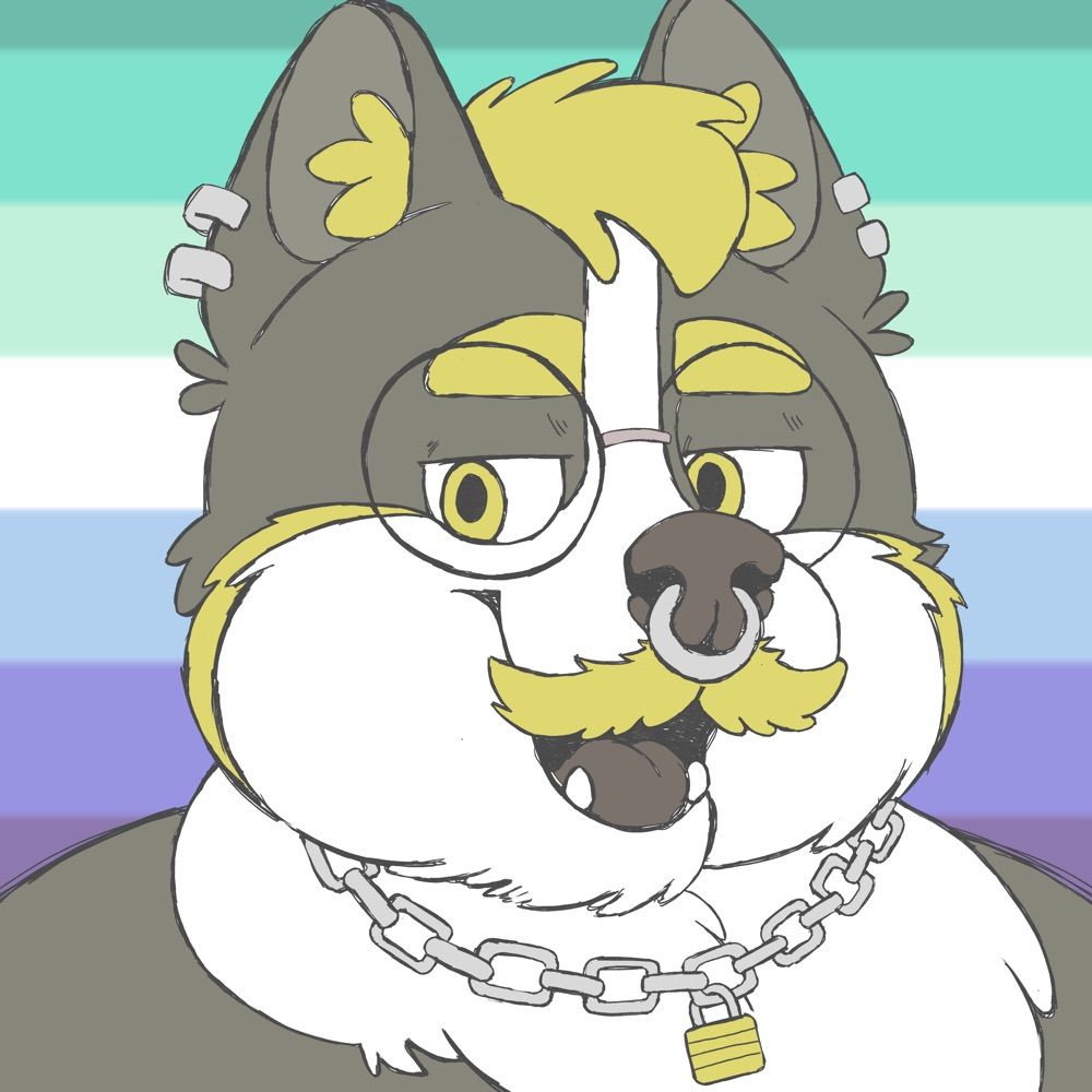 🐾 pawdog 🐾