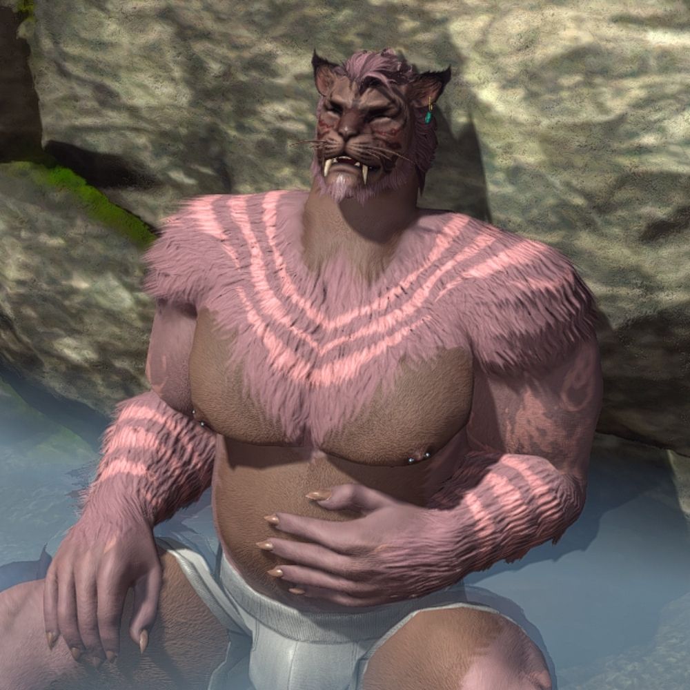 Mr. Wyverin