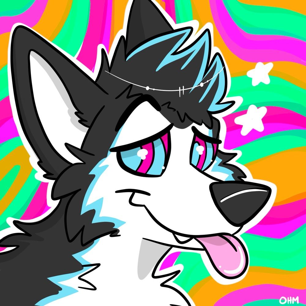 Himbo Husky AD