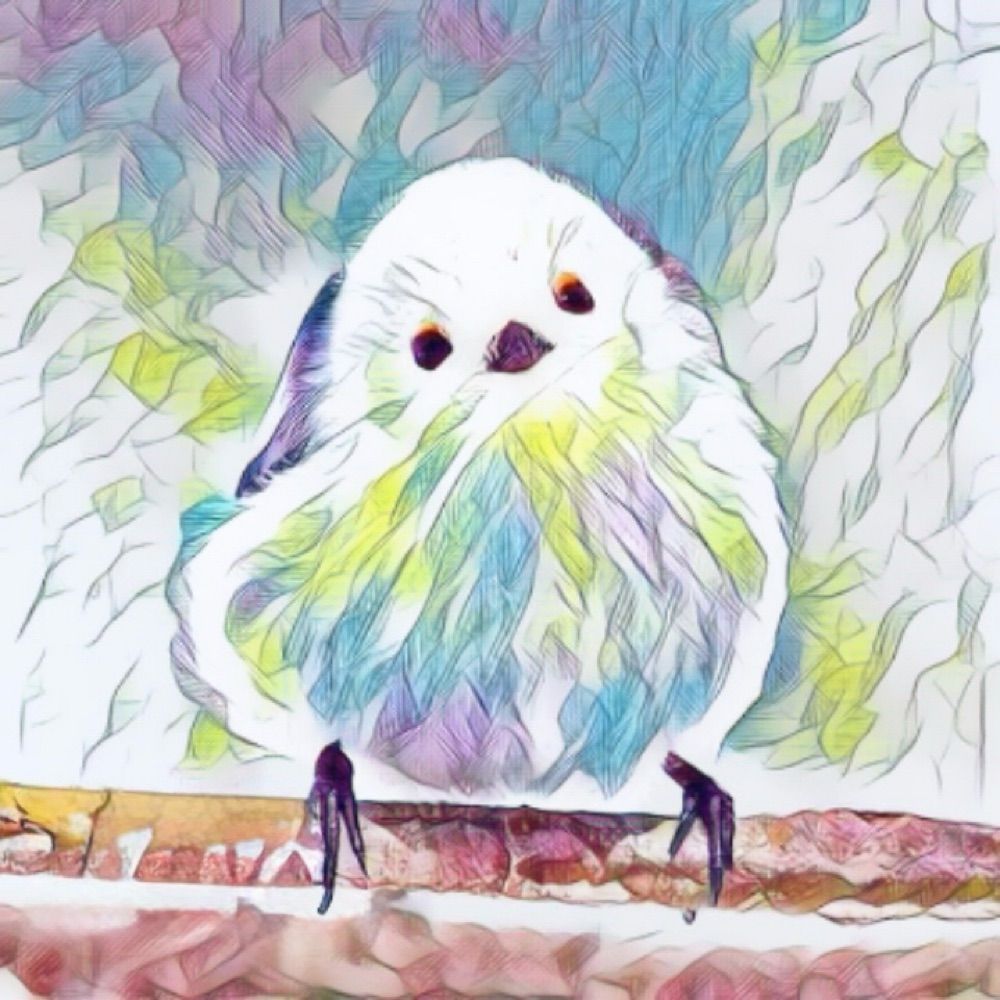 しま
