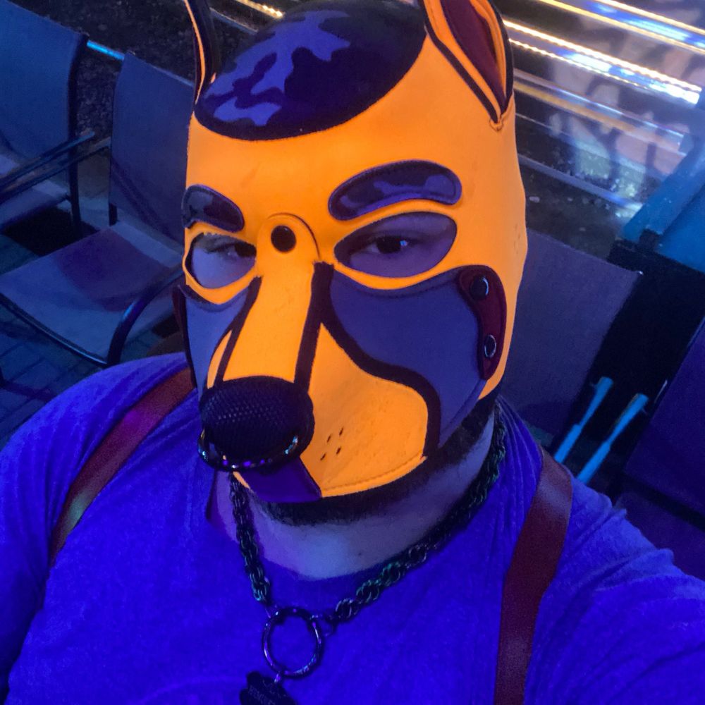 Stoner_puptri