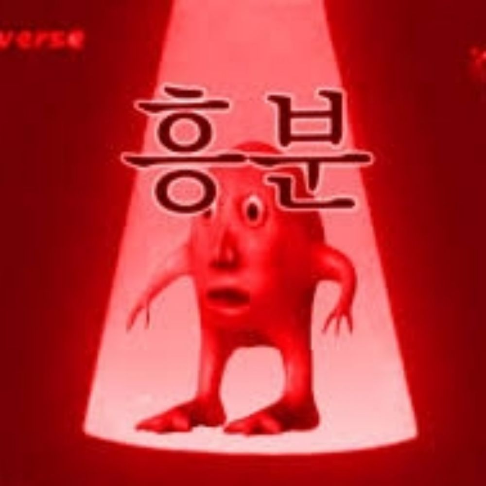 쌈뽕