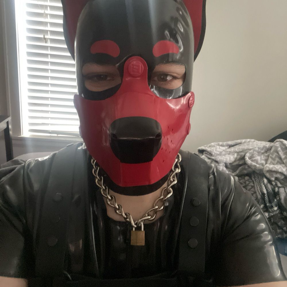 Rubber Gimp