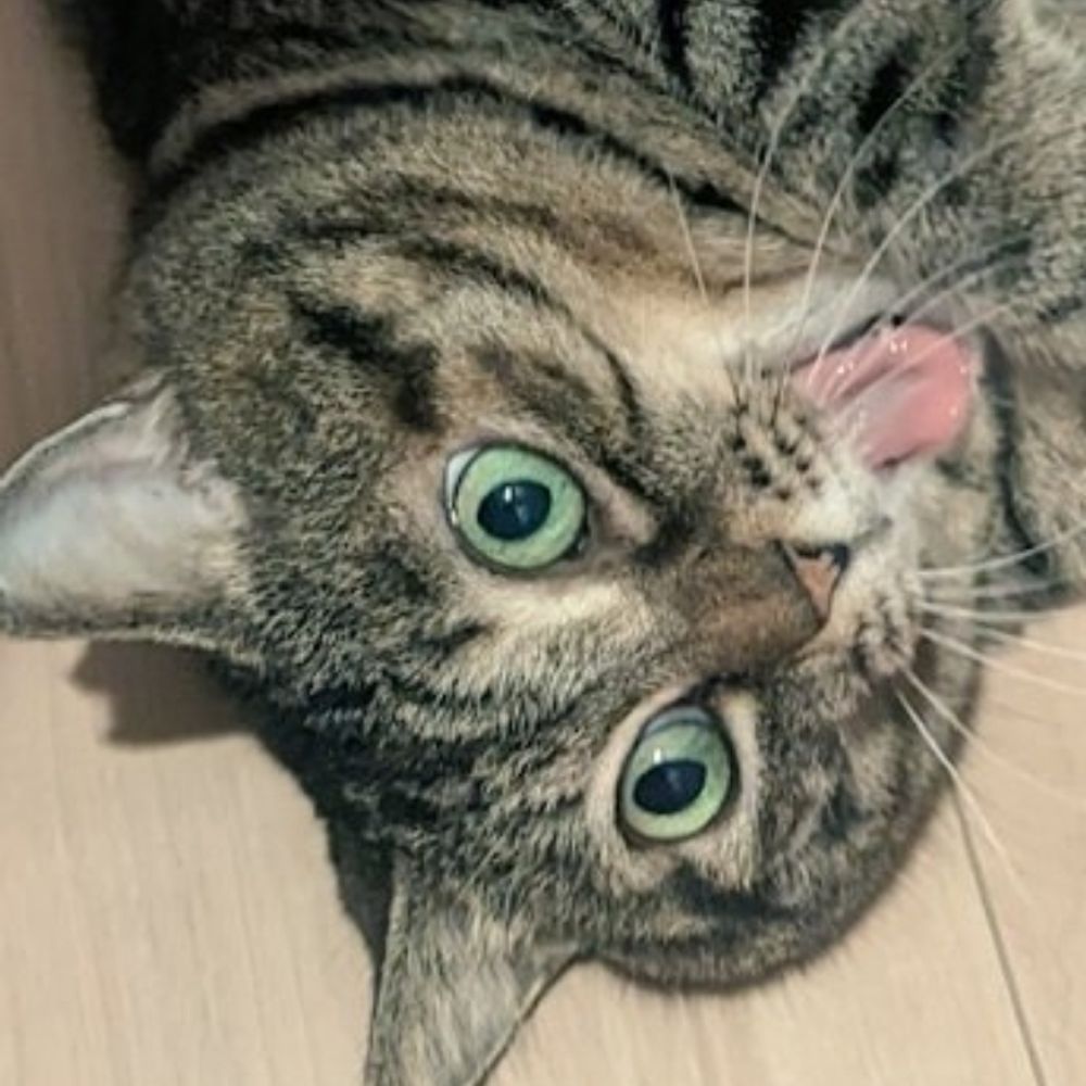 たま