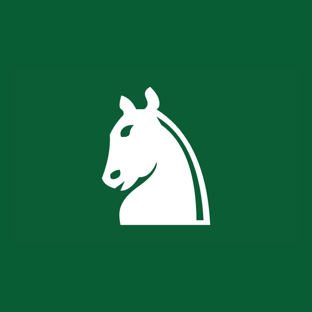 Chess Puzzles